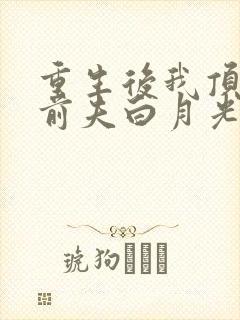 重生后我顶替了前夫白月光无弹窗
