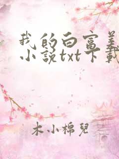 我的白富美老婆小说txt下载