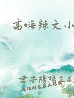 高嗨辣文小说
