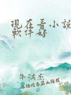 现在看小说哪个软件好