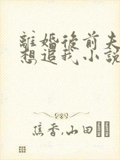 离婚后前夫总是想追我小说