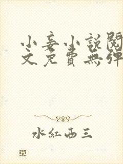 小妾小说阅读全文免费无弹窗