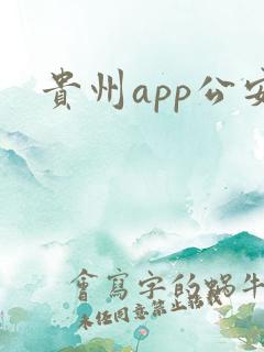 贵州app公安
