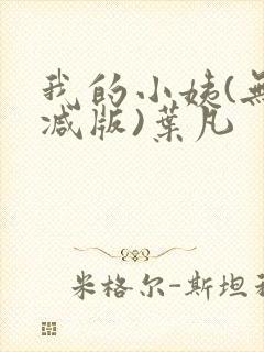 我的小姨(无删减版)叶凡