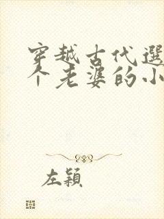 穿越古代选了三个老婆的小说