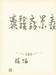 高干文男主占有欲强的小说