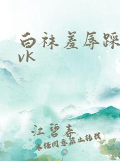 白袜羞辱踩踏丨vk