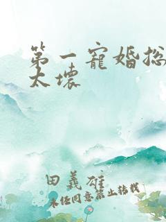 第一宠婚总裁别太坏