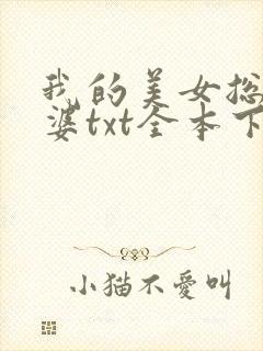 我的美女总裁老婆txt全本下载
