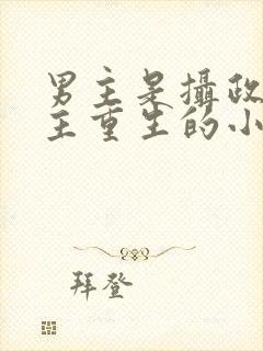 男主是摄政王女主重生的小说