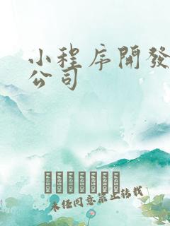 小程序开发企业公司