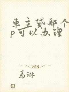 车主贷哪个app可以办理