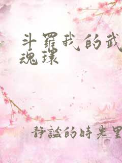 斗罗我的武魂是魂环