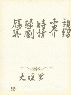 雁归时电视剧分集剧情介绍