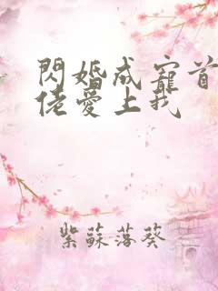 闪婚成宠首付大佬爱上我