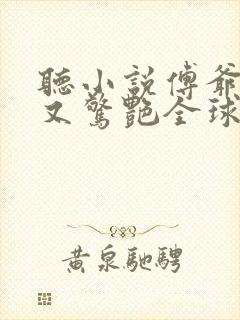 听小说傅爷夫人又惊艳全球了