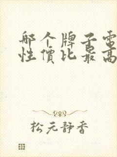 哪个牌子电动车性价比最高