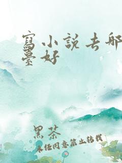 写小说去哪个平台好