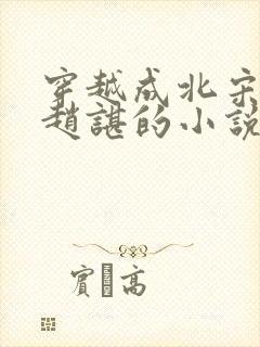 穿越成北宋太子赵谌的小说