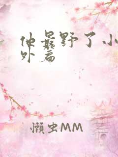 他最野了小说番外篇