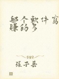那个软件写小说赚的多