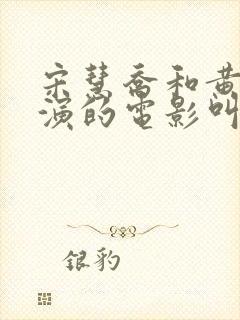 宋慧乔和黄晓明演的电影叫什么名字