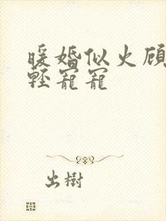 暖婚似火顾少轻轻宠宠