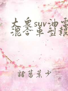 大众suv油电混合车型报价图片