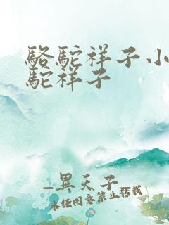 骆驼祥子小说骆驼祥子