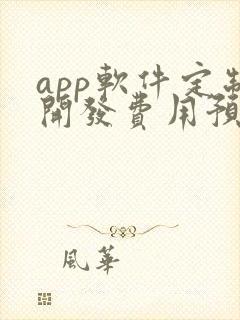 app软件定制开发费用预算