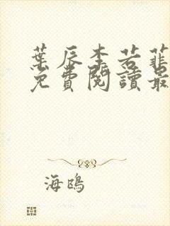 叶辰李若菲小说免费阅读最新章节