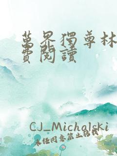 万界独尊林枫免费阅读