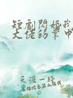 短剧闪婚我成了大佬的掌中之物