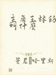 主角王林的小说叫什么