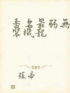 番名最弱无败神装机龙