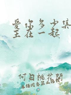 爱你多少集男女主在一起