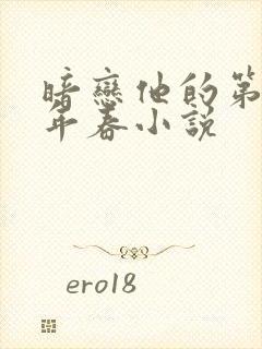 暗恋他的第十一年春小说