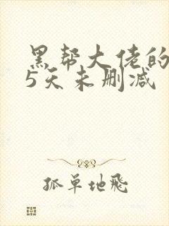黑帮大佬的365天未删减