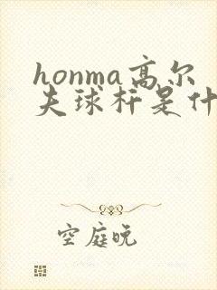 honma高尔夫球杆是什么档次