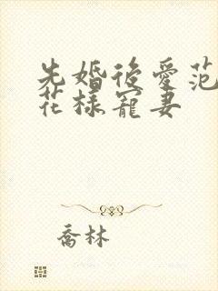 先婚后爱范总的花样宠妻