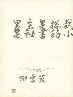男主是总裁女主是秘书的小说