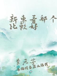 新车看哪个平台比较好