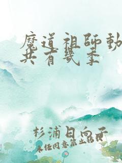 魔道祖师动漫一共有几季
