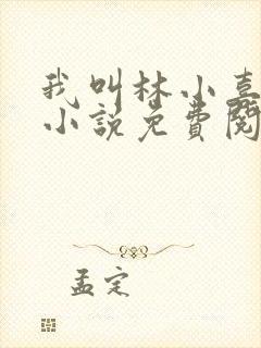 我叫林小喜乖宝小说免费阅读