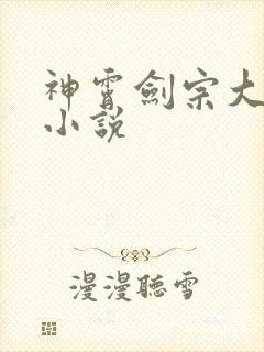 神霄剑宗大师兄小说