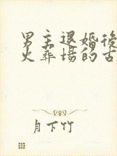 男主退婚后追妻火葬场的古言