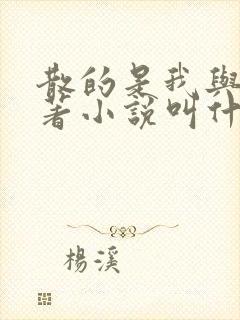 散的是我与爱原著小说叫什么名字