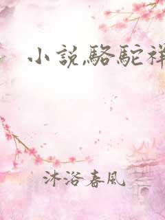小说,骆驼祥子