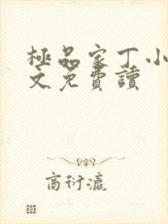 极品家丁小说全文免费读
