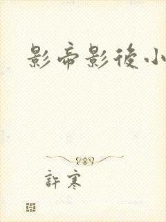 影帝影后小说